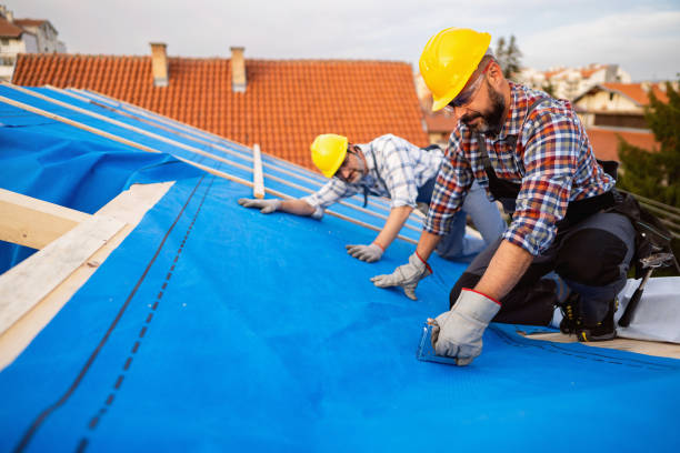 Best Roof Moss and Algae Removal  in Church Hill, TN